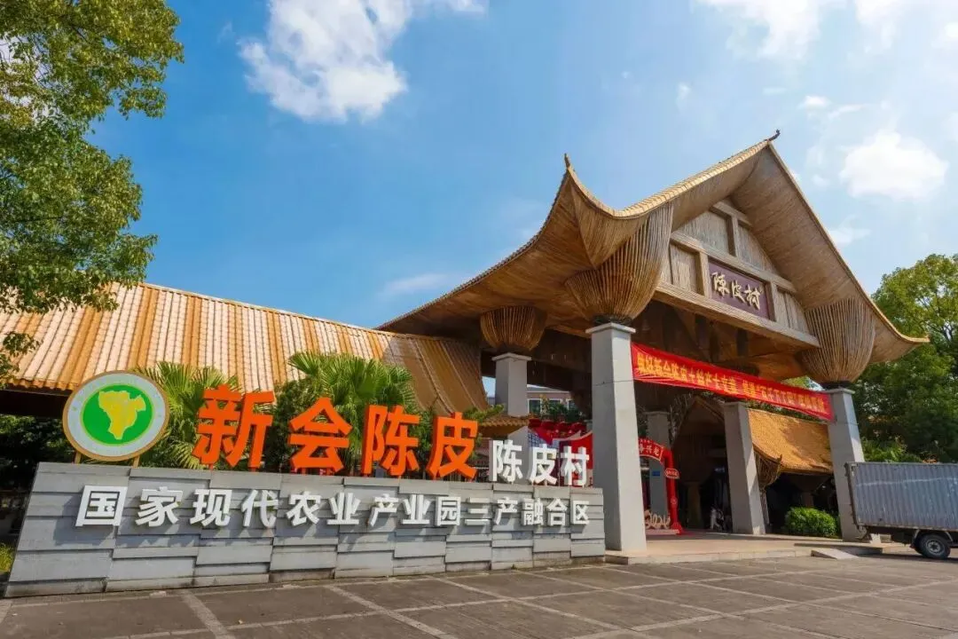 广东江门|新会陈皮村旅游最全攻略