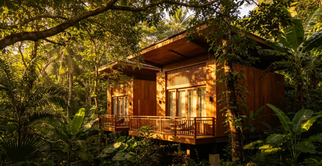 成都跟团到三亚旅游攻略|海南三亚旅游呀诺达雨林畅玩指南