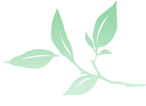 四月桂林旅游攻略-烟雨漓江