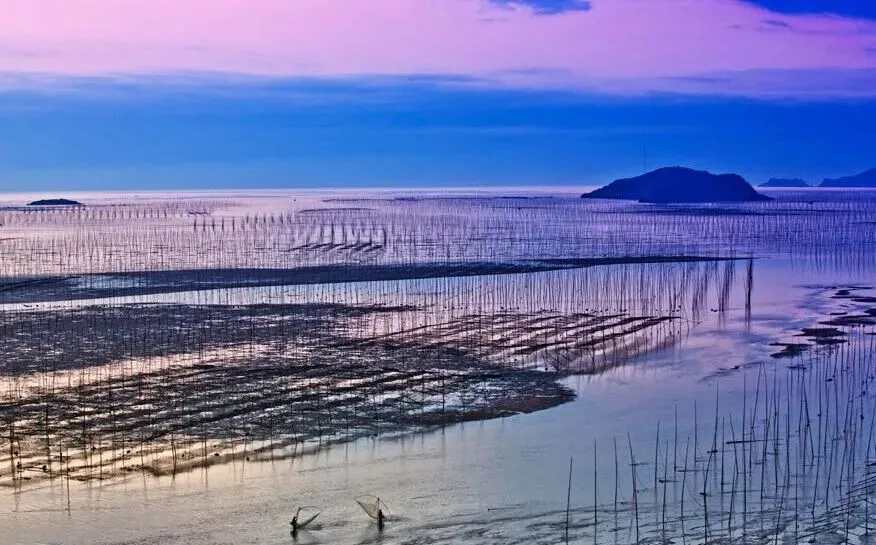 马年避坑|福建霞浦深度旅游攻略(附交通住宿+小众出片点)