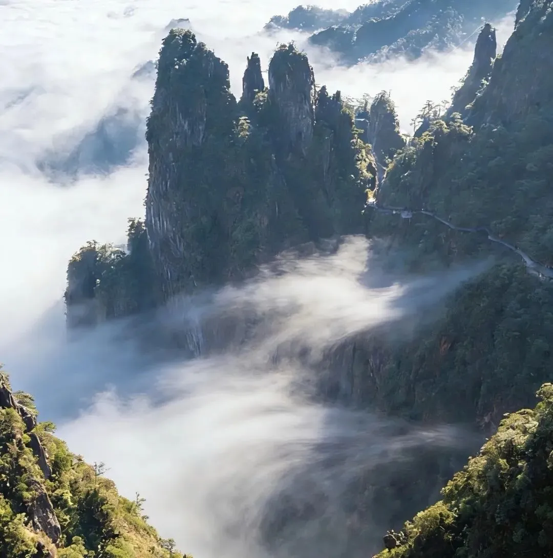 郴州高椅岭+莽山五指峰+东江湖+白廊旅游攻略