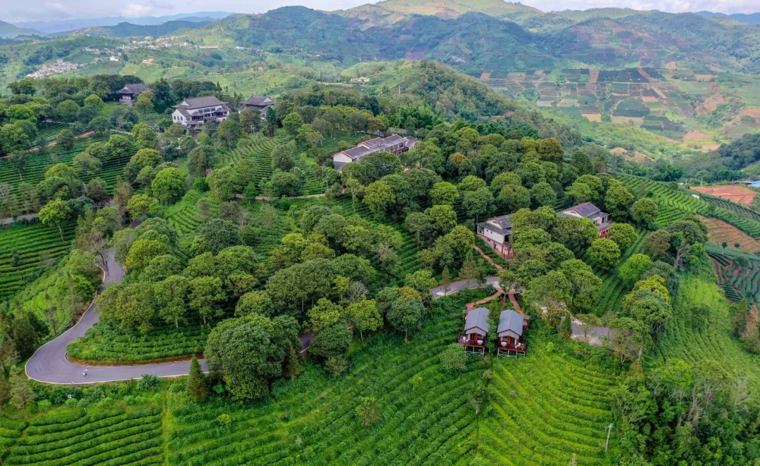 五一假期旅游必备攻略:省钱、省心乐享普洱