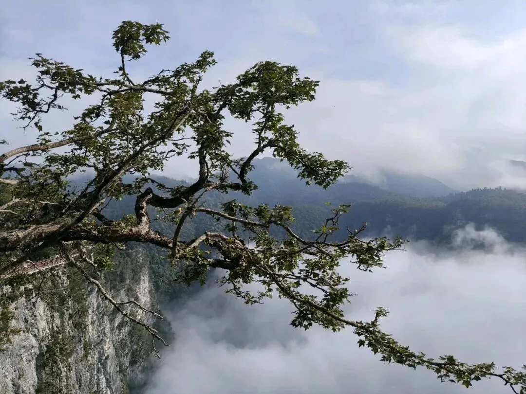 张家界三天两晚旅游攻略