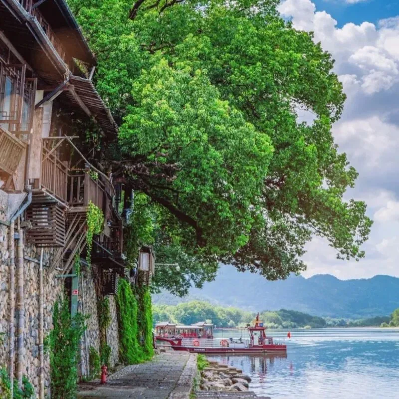 丽水莲都乡村旅行攻略