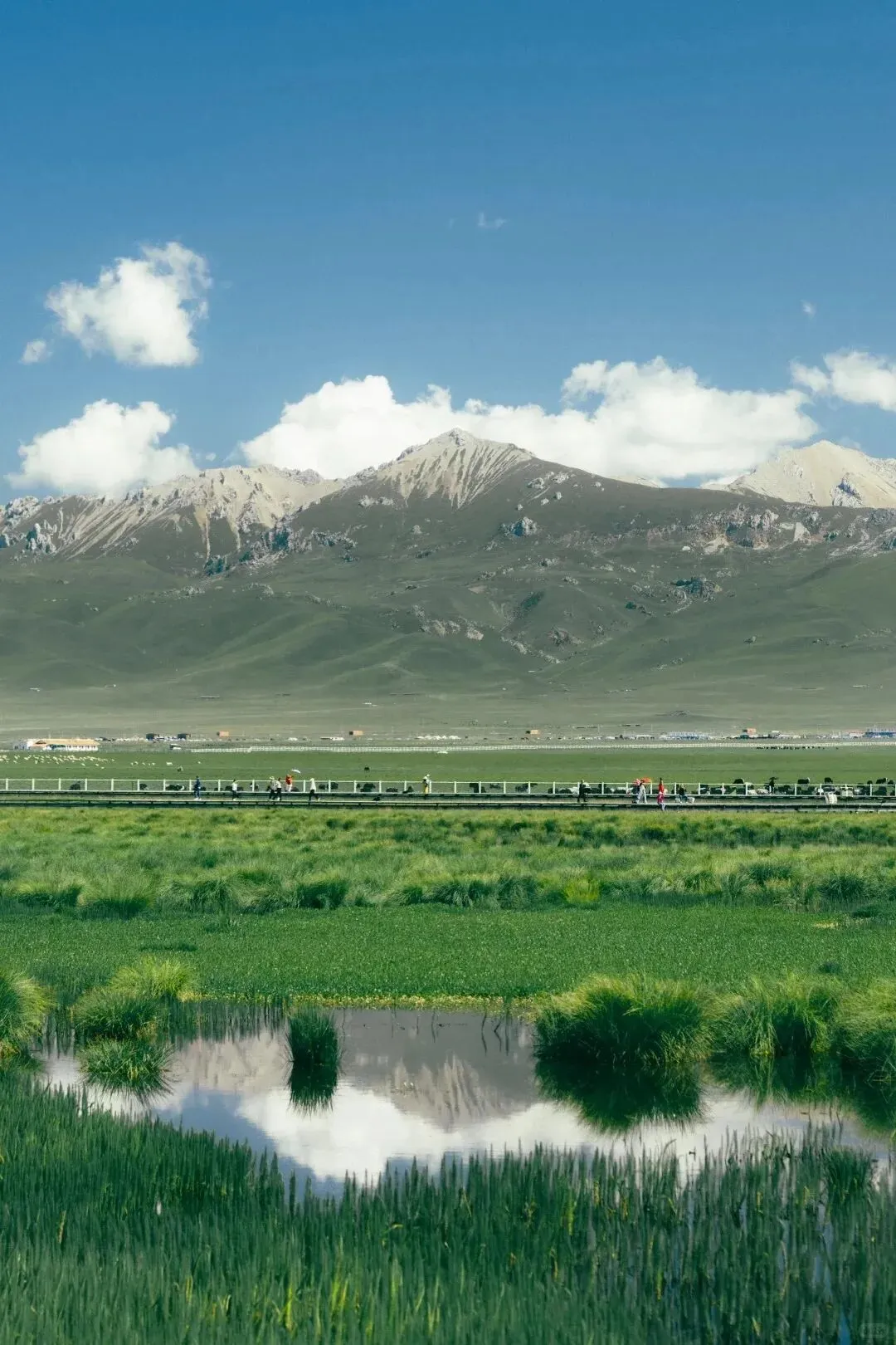 甘南旅游避坑完全手册:2026年本土纯玩旅行社权威实力榜单