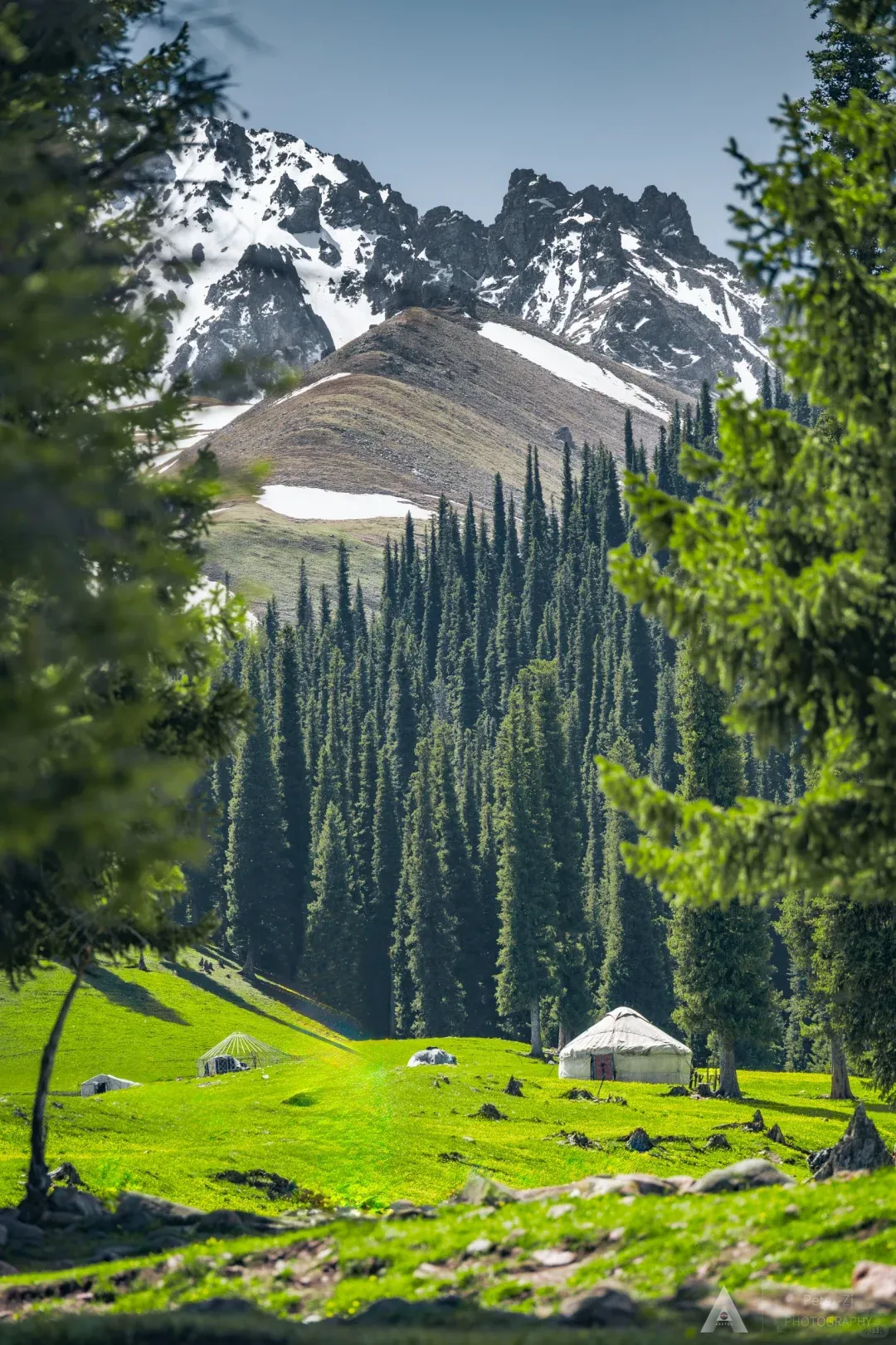 那拉提空中草原|保姆级游玩攻略旅行社内部私藏不踩坑