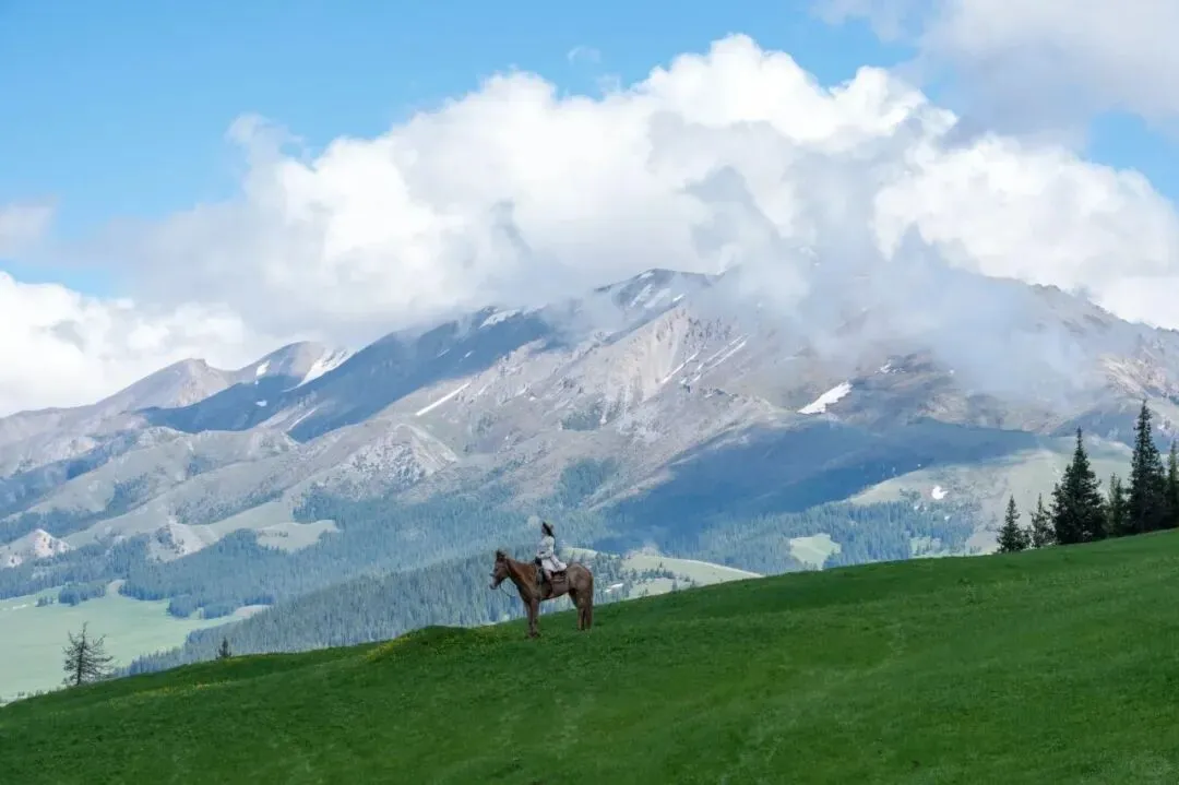 新疆旅游零踩雷攻略|第一次去必看!