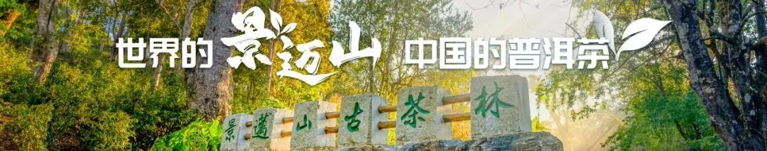 五一反向旅行指南|在景迈山,把生活调成0.5倍速