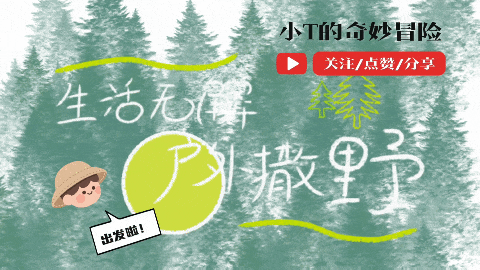 五一旅游攻略,看着日历选旅程~