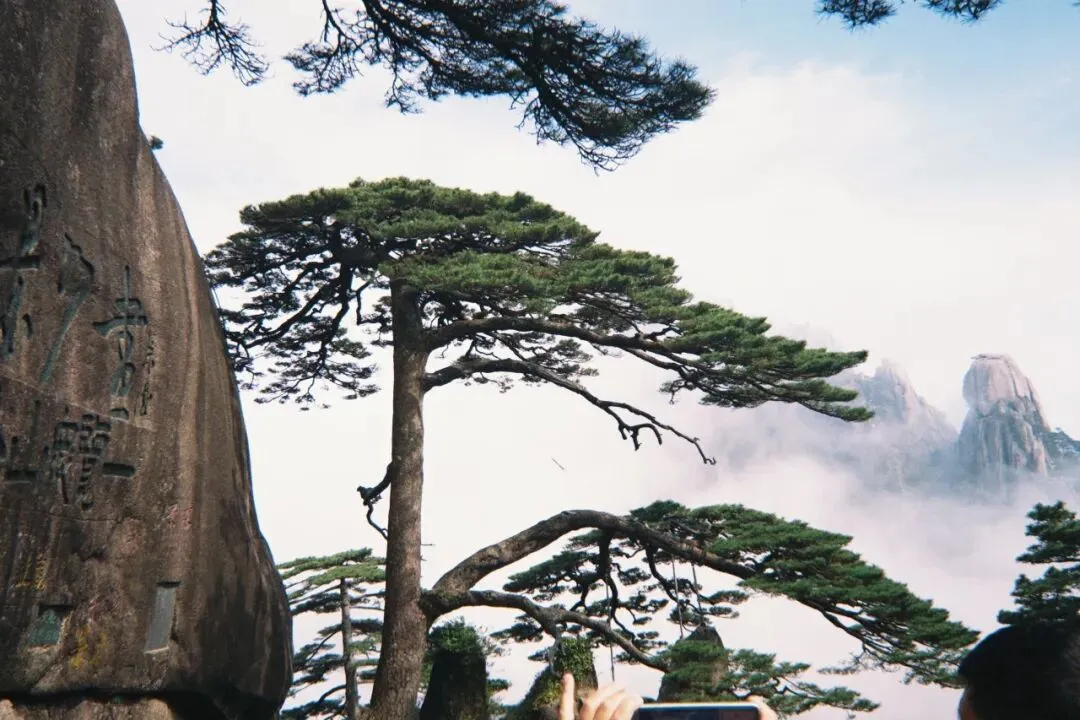 4月生活 | 黄山登山旅游全攻略