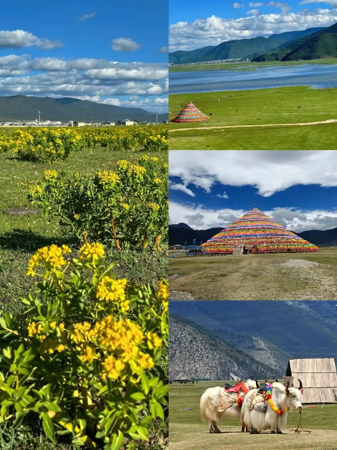 4-5月云南旅游必去城市|昆明大理丽江香格里拉详细攻略(附行程+避坑)