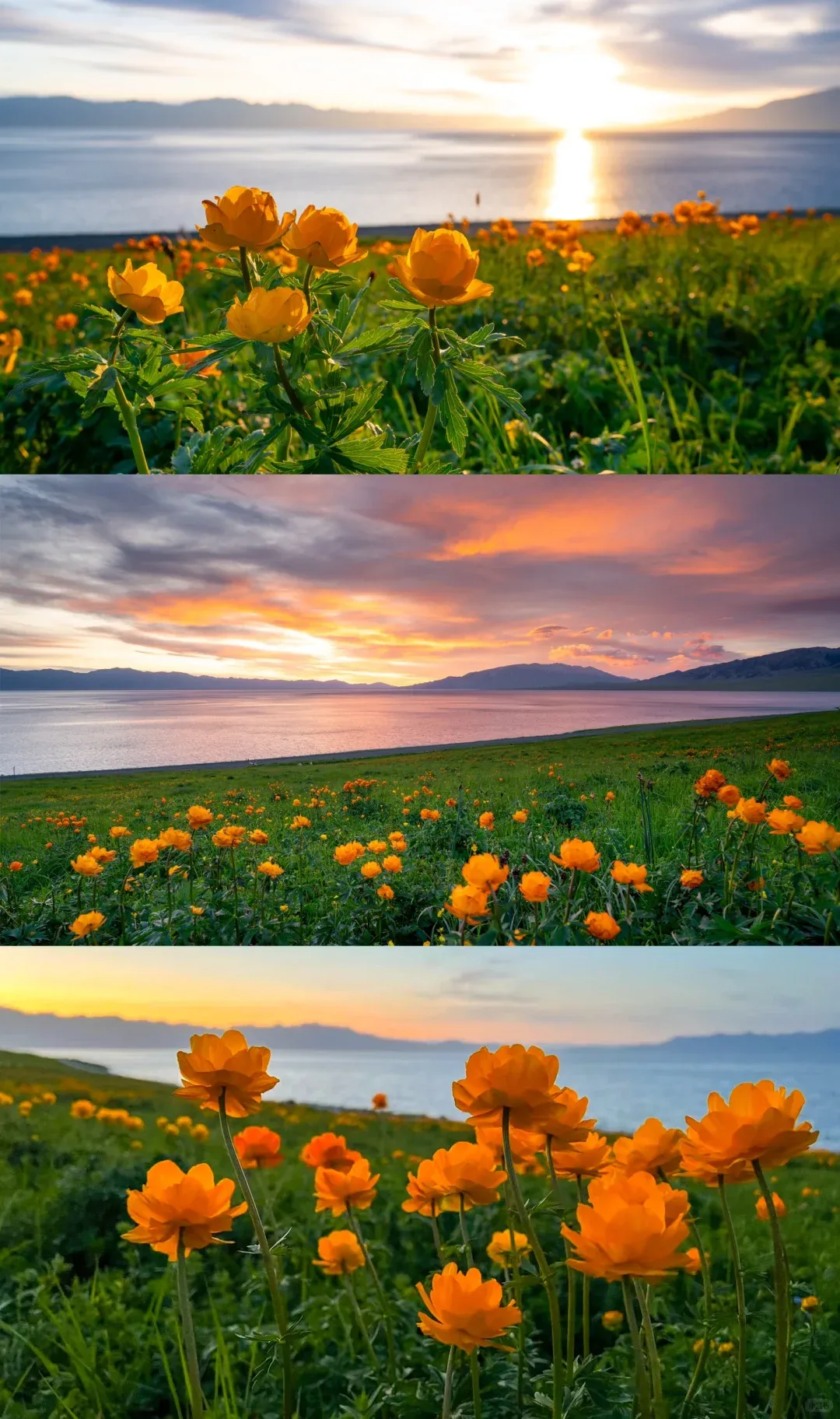 5-6月新疆旅游保姆级攻略+避坑指南+行程规划,赶紧收藏起来!