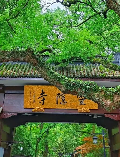 五一假期杭州旅游攻略:杭州灵隐飞来峰景区出行指南(灵隐飞来峰需提前7天预约)丨江浙沪漫游