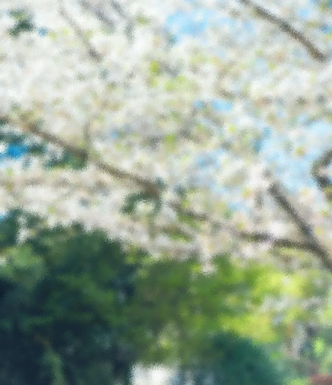 春游莲城,拾趣山水!普兰店超省心游玩攻略来了