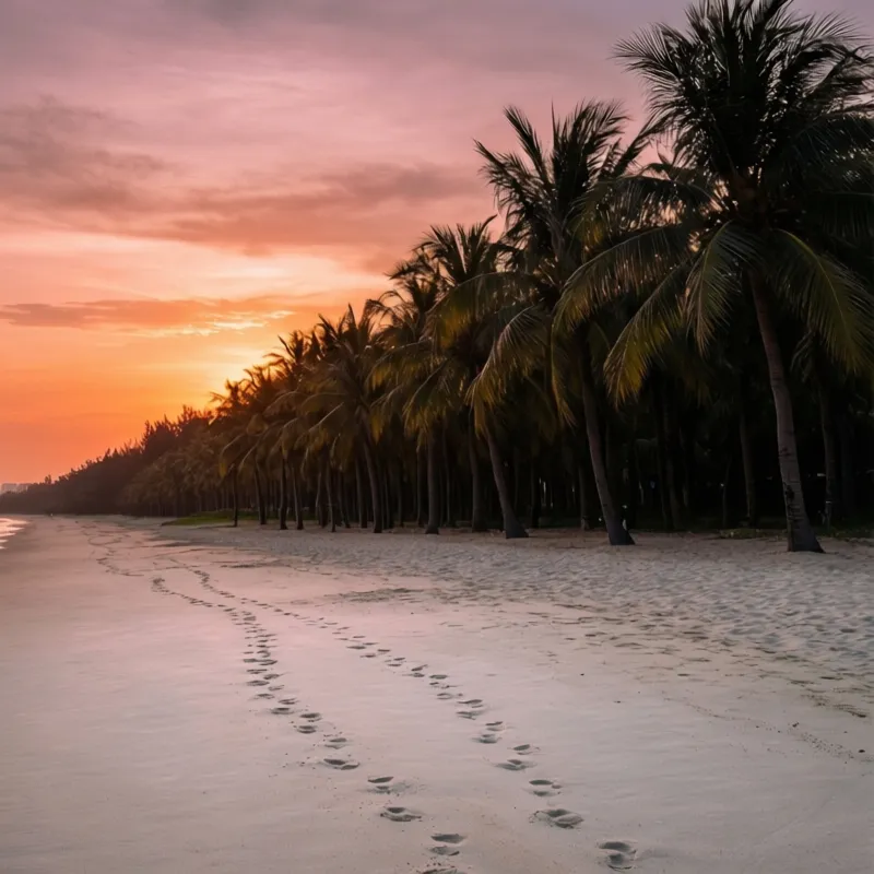 小众打卡|三亚旅游攻略分享,挖掘小众景点,丰富特色三亚旅游团体验