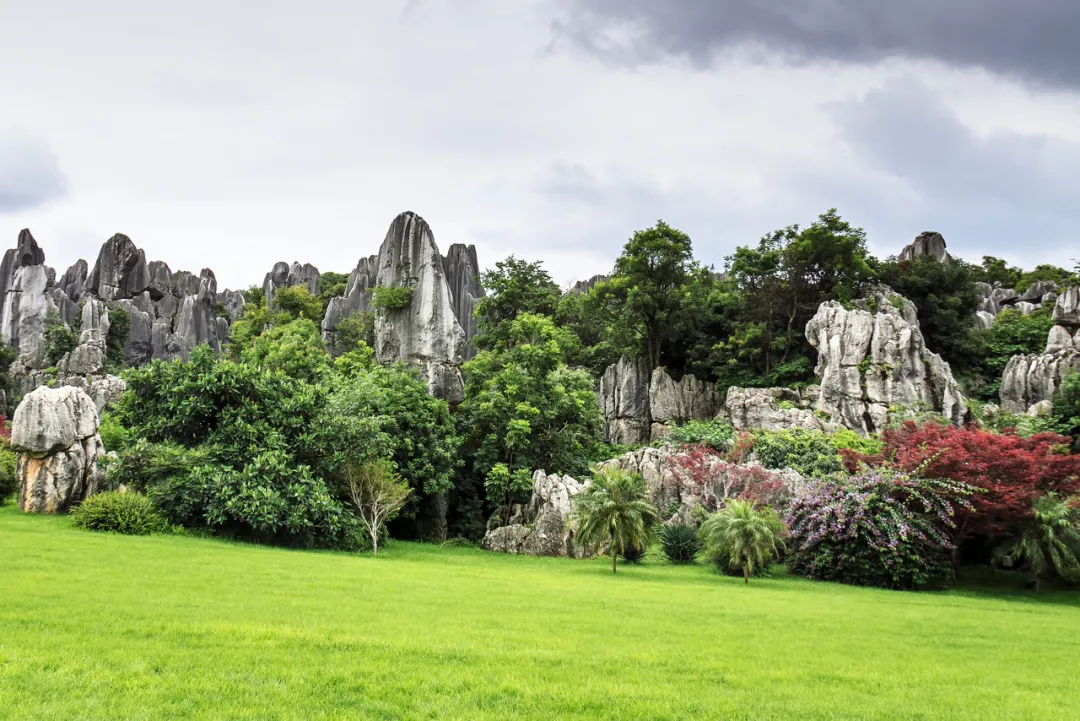 想去昆明旅游的有福啦,这份超全攻略带你嗨玩春城