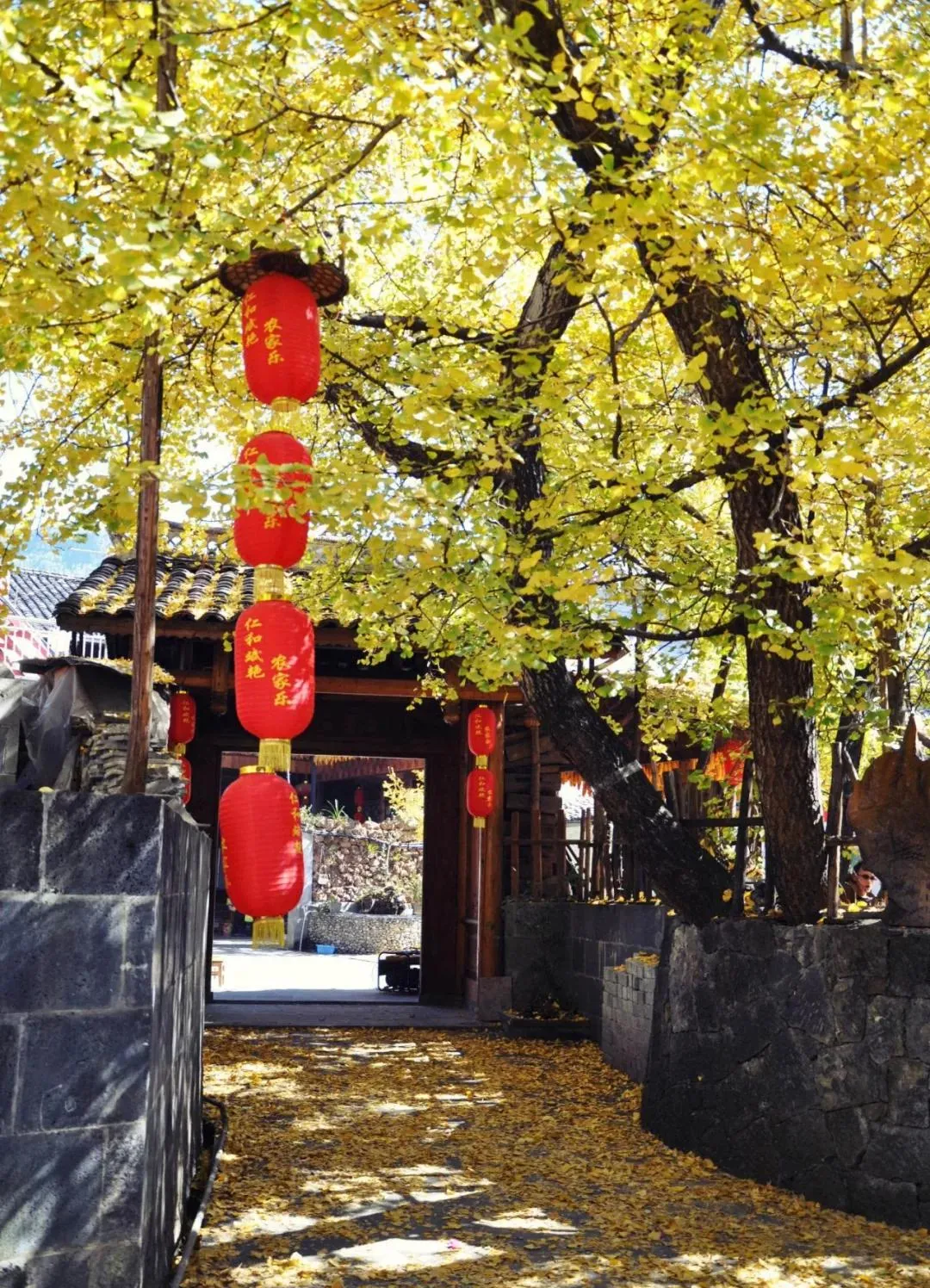 11-12月适合旅行的六个城市,无需攻略,心累了就去待几天!!