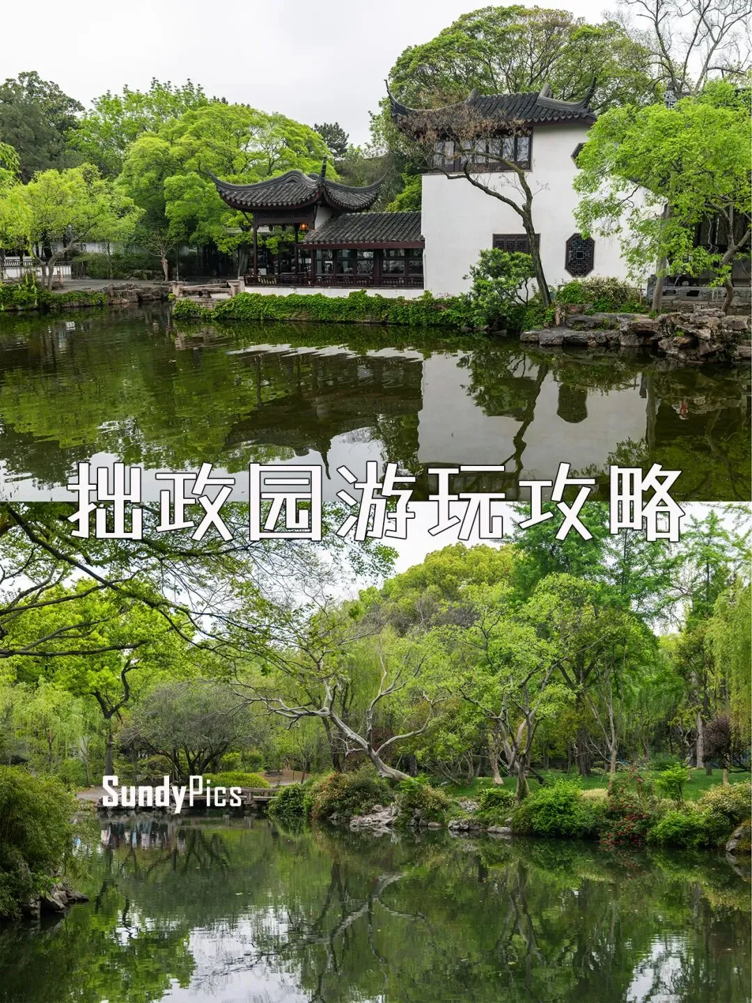 只属于清晨的拙政园游玩攻略:漂亮但很真实.