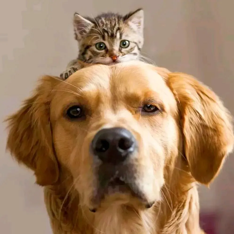 五一零疲惫出游攻略.