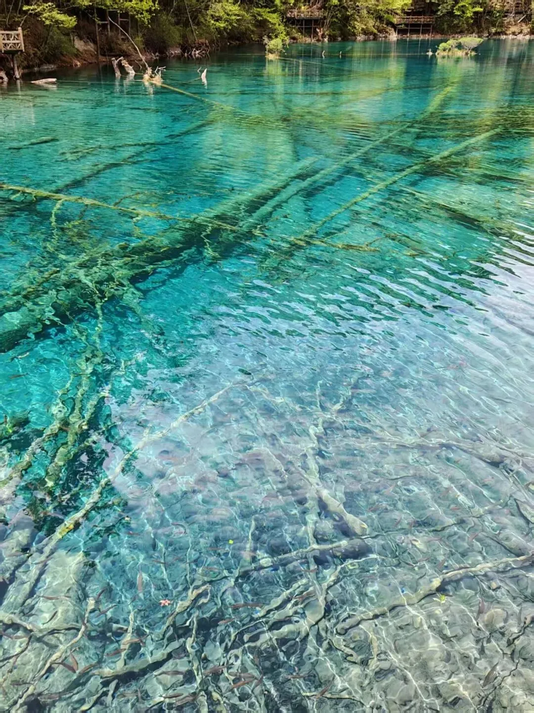 五一小长假 旅游推荐