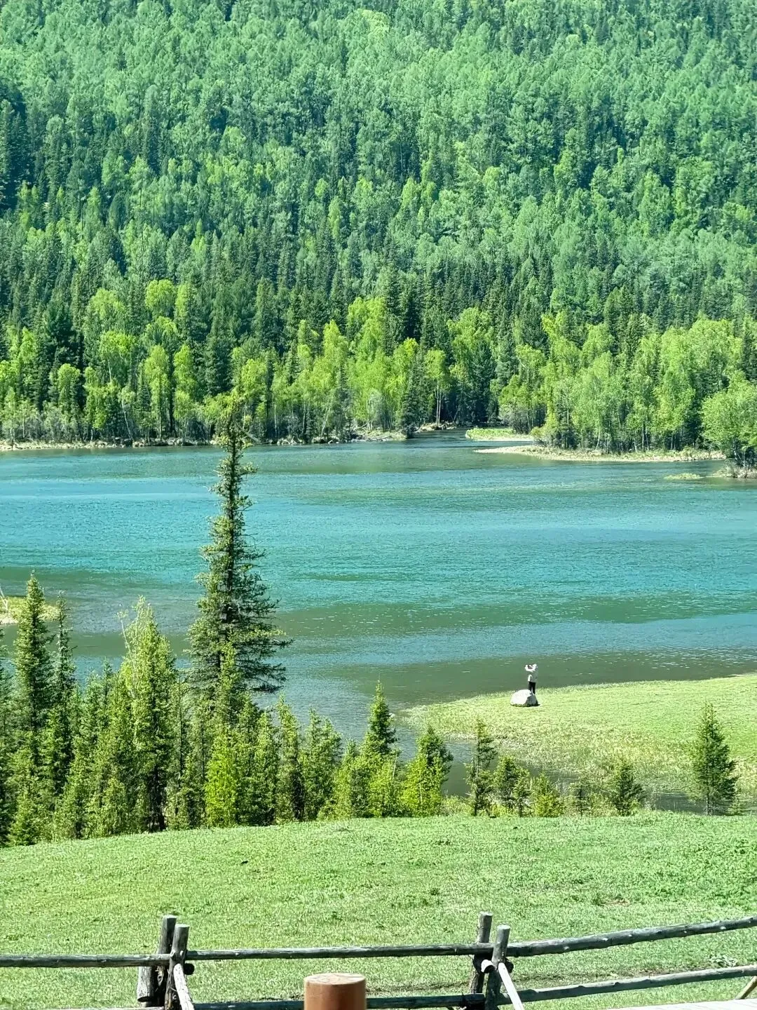 2026新疆旅游攻略:如何避开低价团陷阱?领队媞娜的案例值得参考