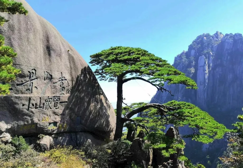 五一假期去前必看!超实用的黄山旅游攻略