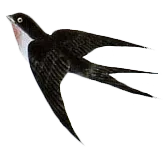 风携芳华至·禅心伴我行|五一会稽山兜率天游玩攻略,不负春日好时光