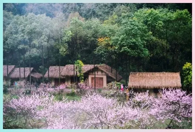 湖南桃源县桃花源景区攻略