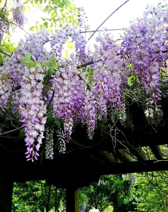 北京五一游玩攻略!不想人挤人,去这6个地方准没错!避开人潮,解锁5.1限定浪漫