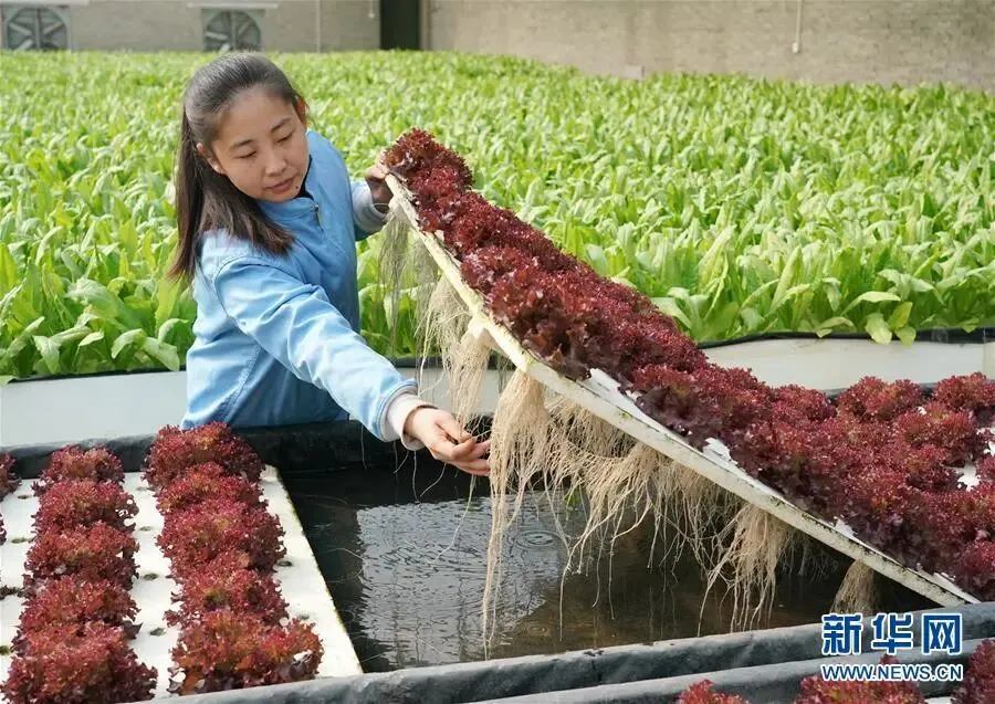 习近平的扶贫故事