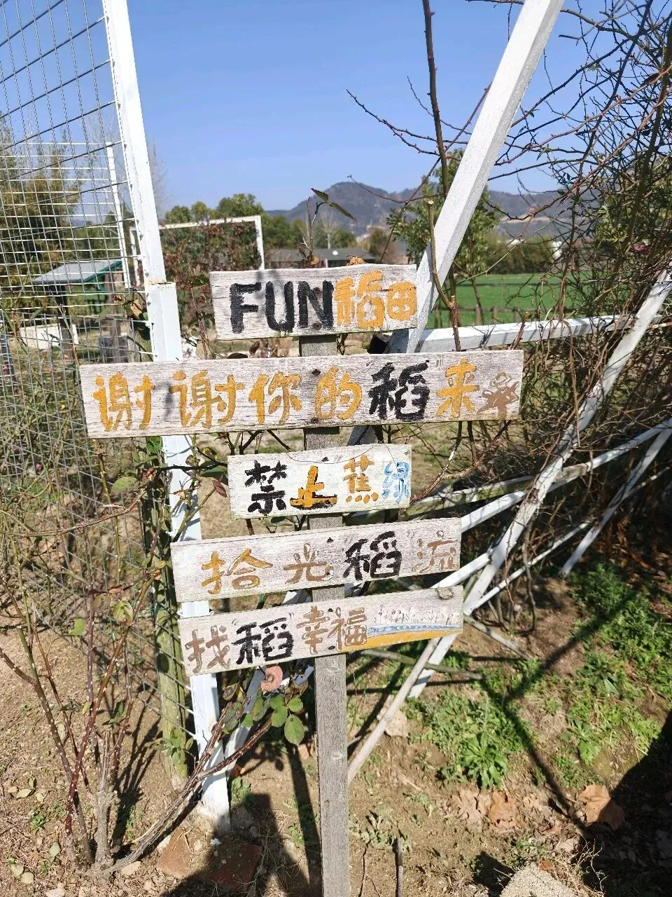 4月底了,公司还没有通知旅游计划,职场福利缩水,这一天虽迟但到