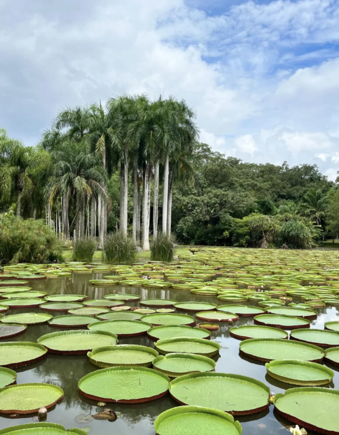 让时间慢下来的地方——西双版纳超详细旅游攻略(景点篇)