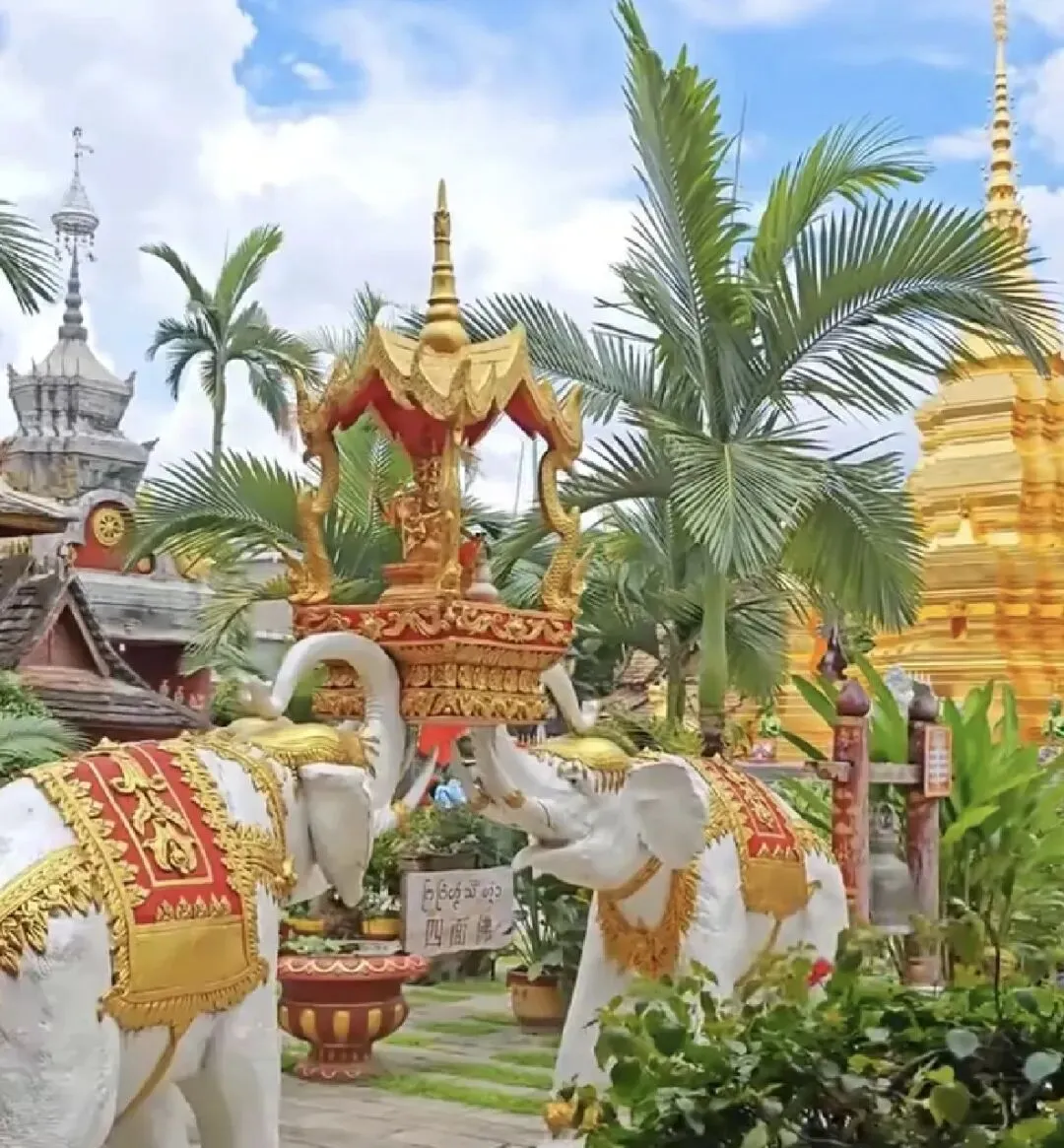 计划出门旅游一定要避开这个坑