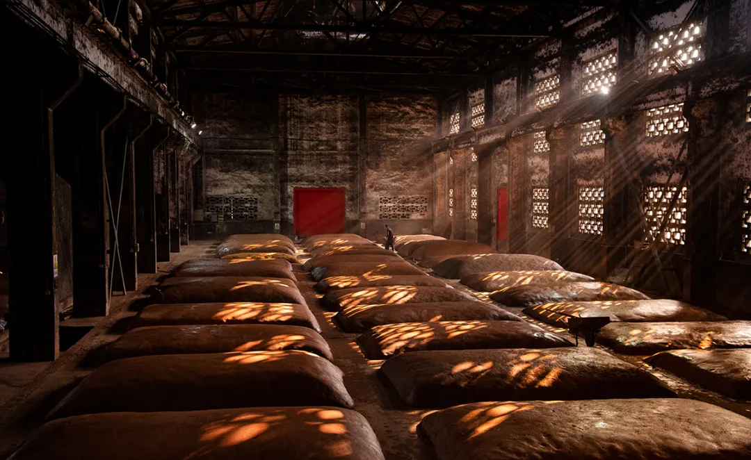 五一假期去前必看!超实用的泸州旅游攻略