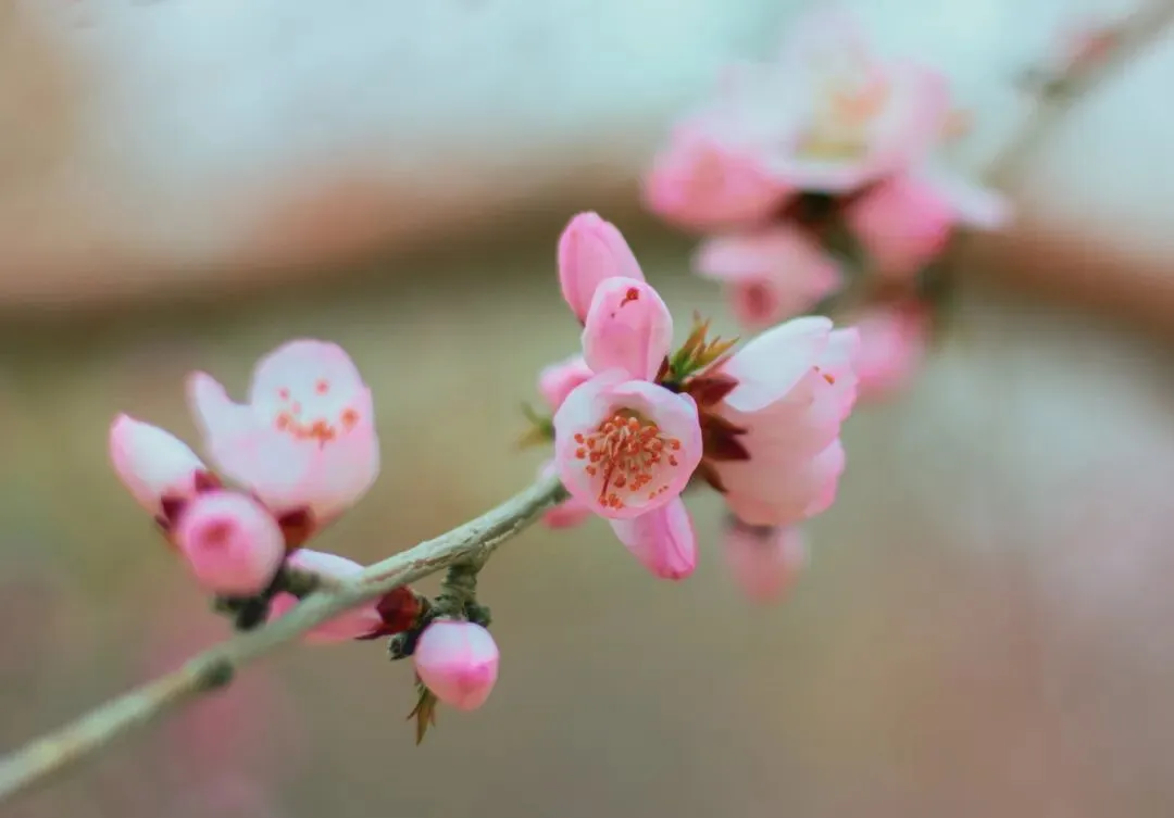 巴彦淖尔春游全攻略→