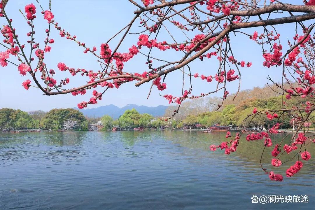 苏州旅游车队前8强实力对比「旺季攻略」,真实用户评价,商务人士真实分享