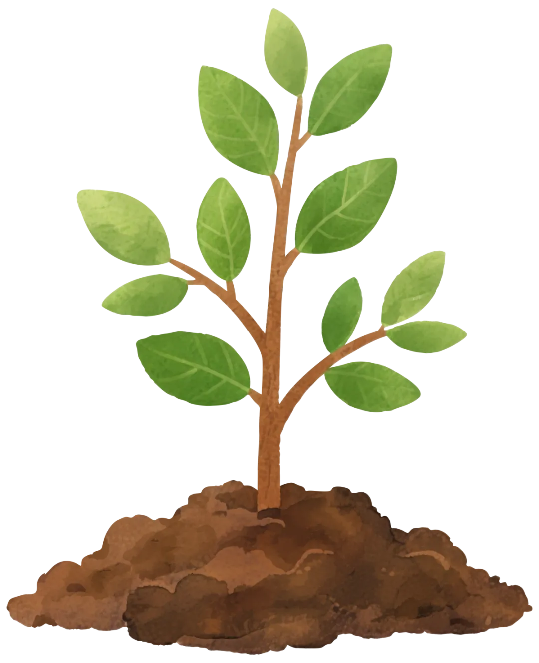 去浑善达克种树+游玩攻略,出发前看这篇就够了