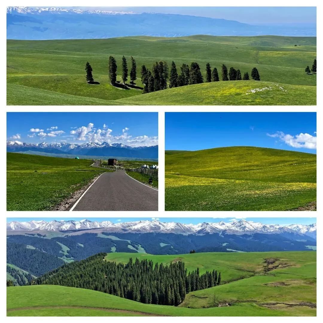 新疆5月旅行指南:不是最热闹的时候,却是最舒服的时候