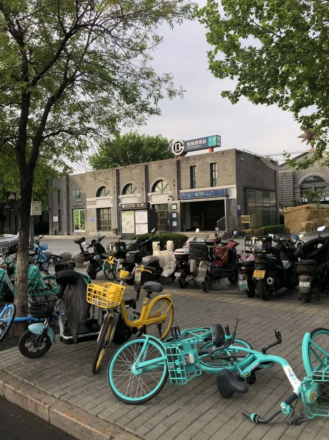 圆明园五一旅游小攻略