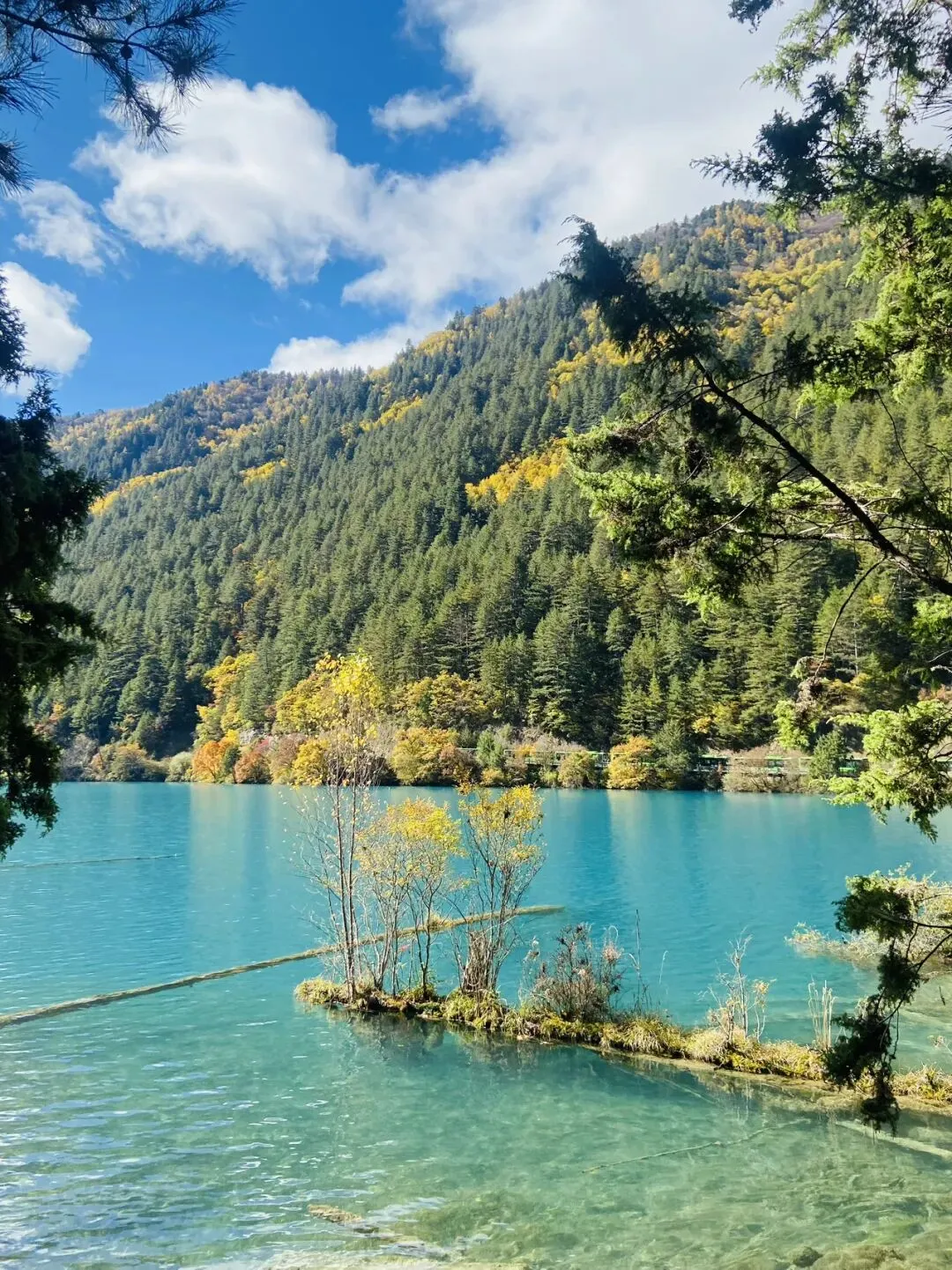 五一健康出游指南:带上这份“安心清单”,玩得尽兴更放心!