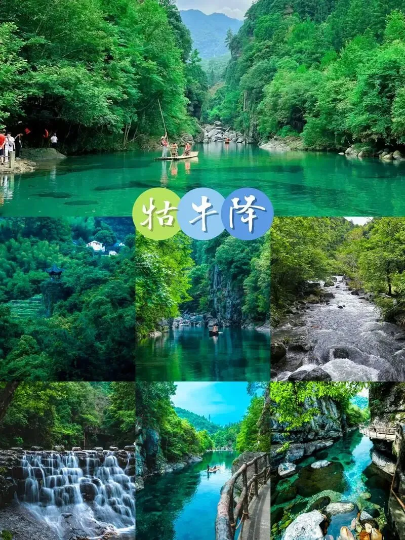 「北纬30°的绿野仙踪」皖南 • 牯牛降旅行攻略:探秘华东最后的原始森林|打卡指南:交通+美食+机位,一篇就够!