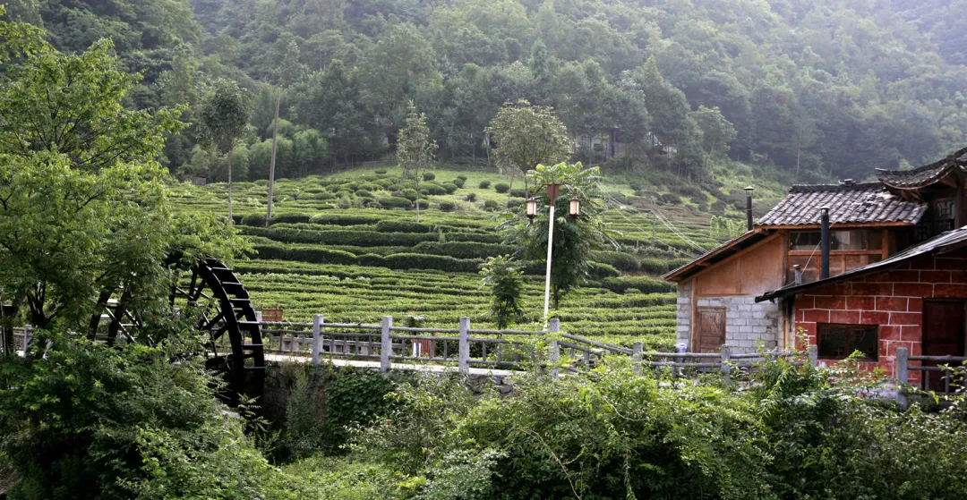 五一假期去前必看!超实用的神农架旅游攻略