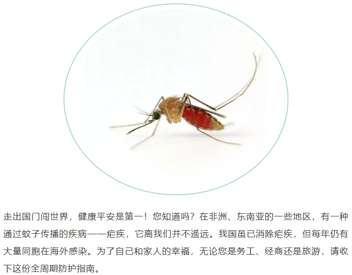【科普】出国打工/旅游必看!这份“防疟攻略”能救命!