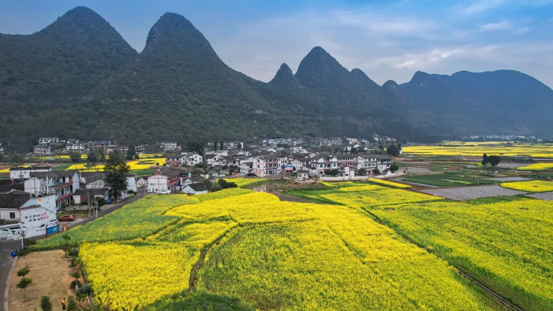 【五一去贵州】黔西南旅游全攻略|万峰林下,藏着最美的田园时光