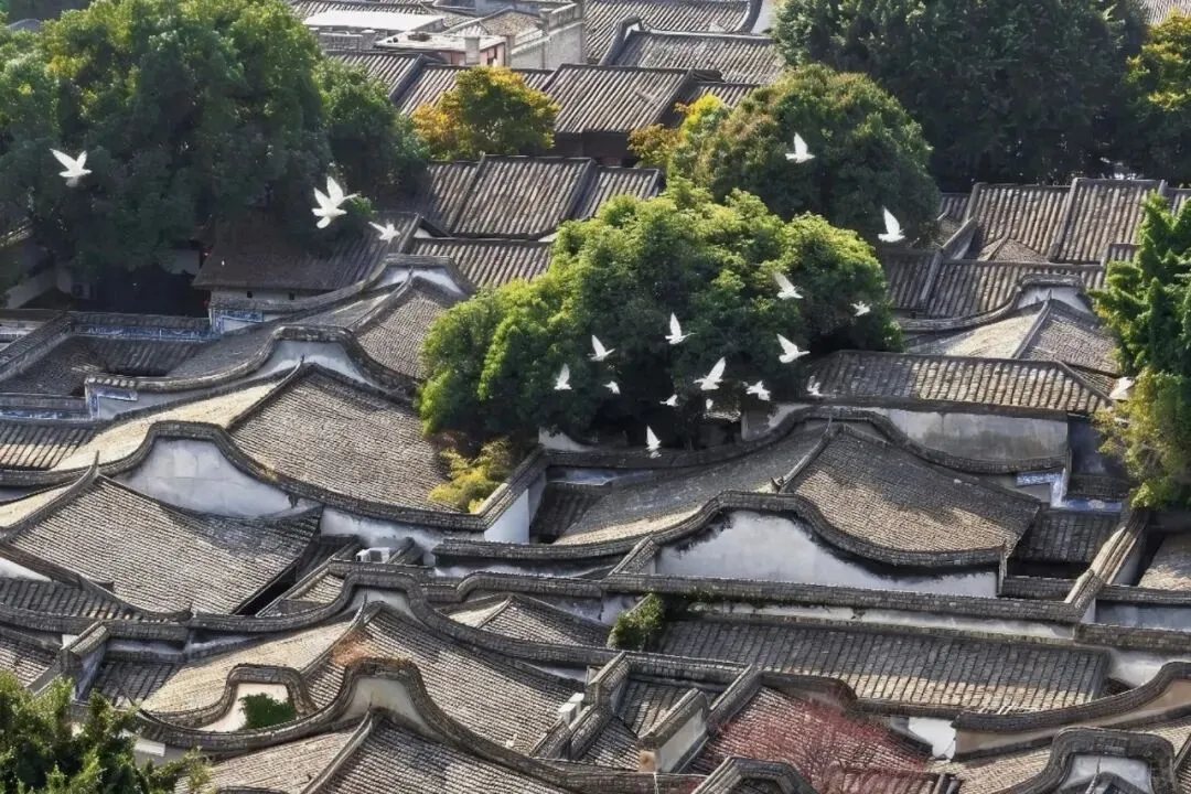 一份“五一出游指南”记得签收