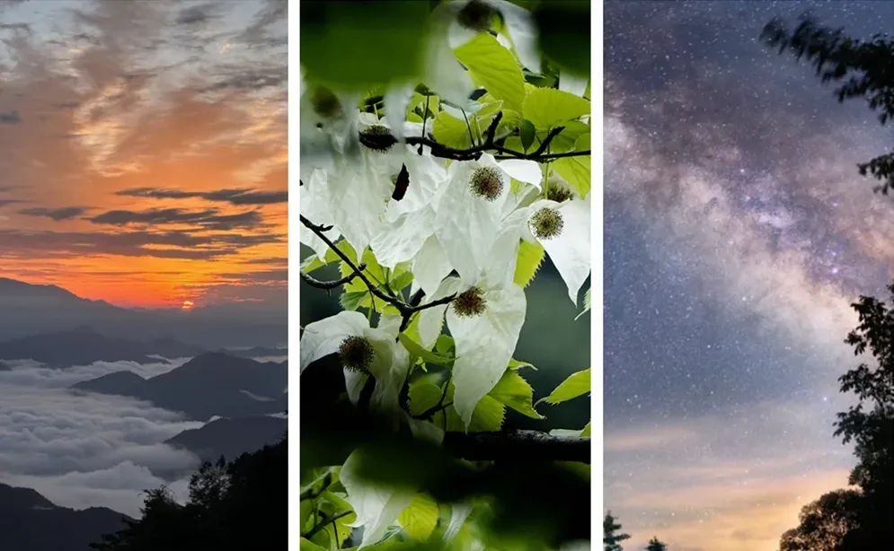 五一慢游平武!六条“宝藏”自驾线路游玩攻略,总有一款适合~