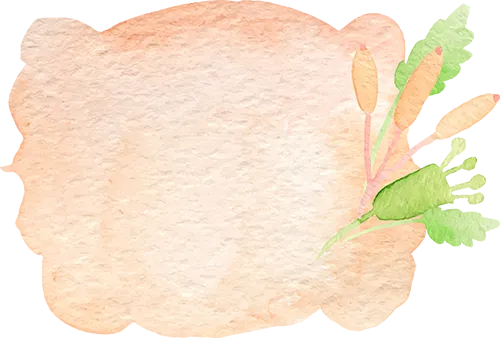 《青蛙的旅行计划》——吴政翰