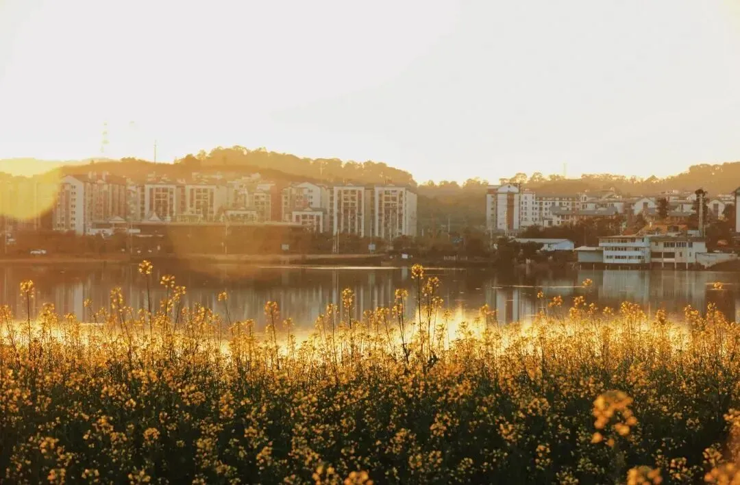 @所有人 来普洱过节,文明旅游安排上