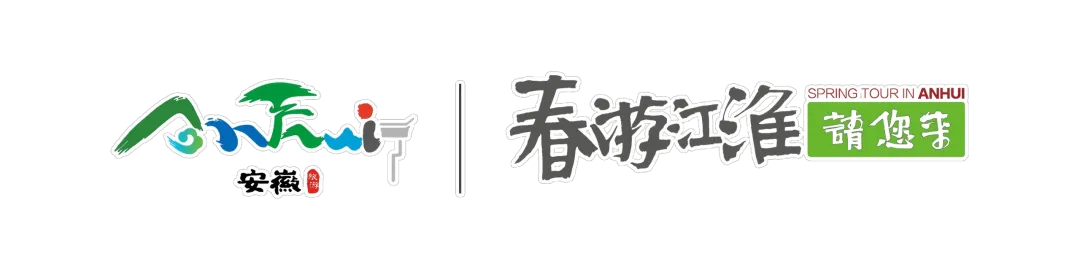 养心利辛全城通关|五一游玩攻略请查收!|春游江淮