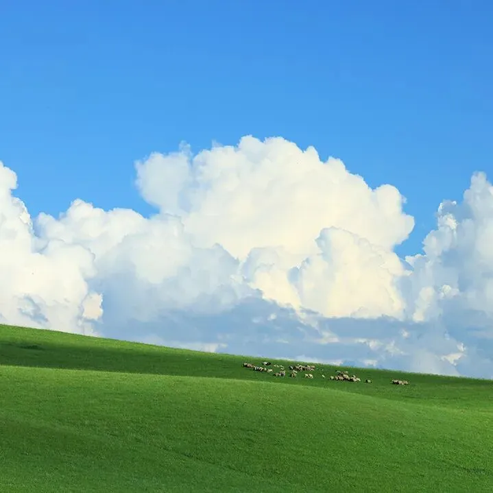 “五一”出游计划,关公文旅包圆儿啦!